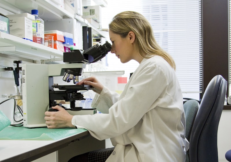 Tüp Bebek (IVF) Tedavisi: Aşamaları, Süreci ve Başarı Oranları